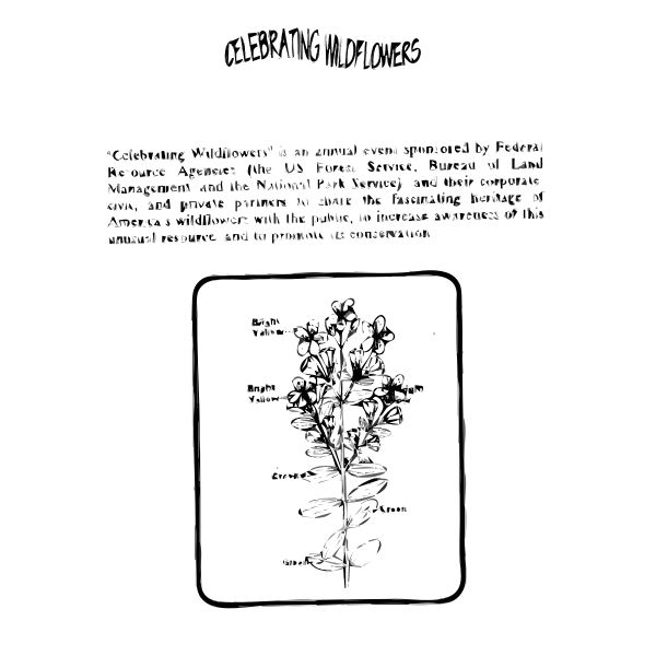 Klamath Weed Coloring Guide